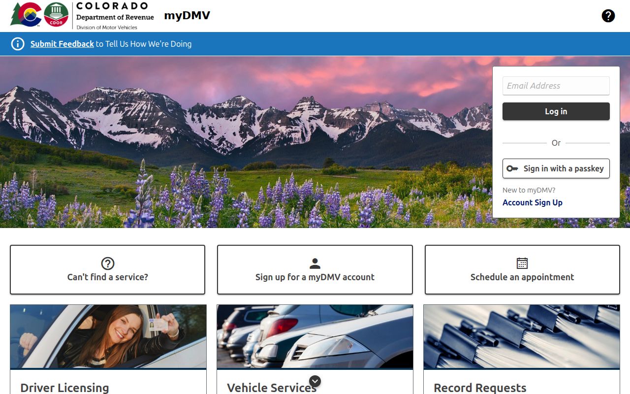 Rio Grande County traffic records and Colorado myDMV driver record portal